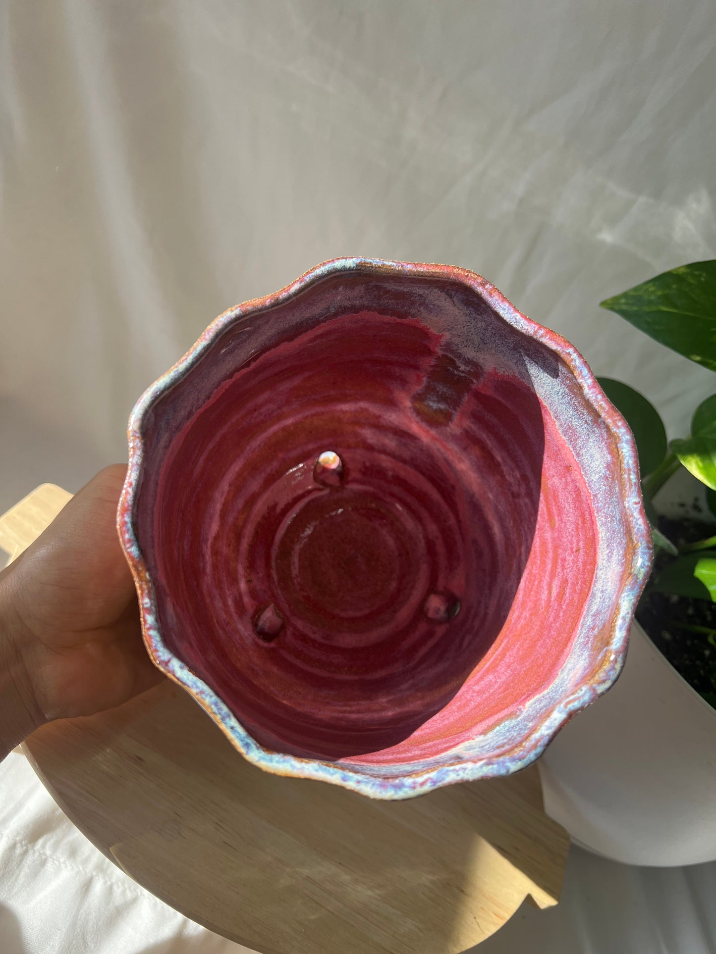 fish planter